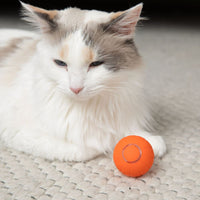 The KittyBall™ - Smart Cat Ball