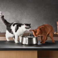 The KittySpout™ - Wireless Fountain 2.0