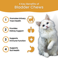 Bladder & Kidney Support Chews