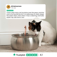 The KittySpout™ - Health & Happiness Cat Kit