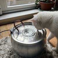 The KittySpout™ - Water Spout