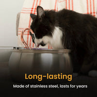 KittySpout Value Bundle