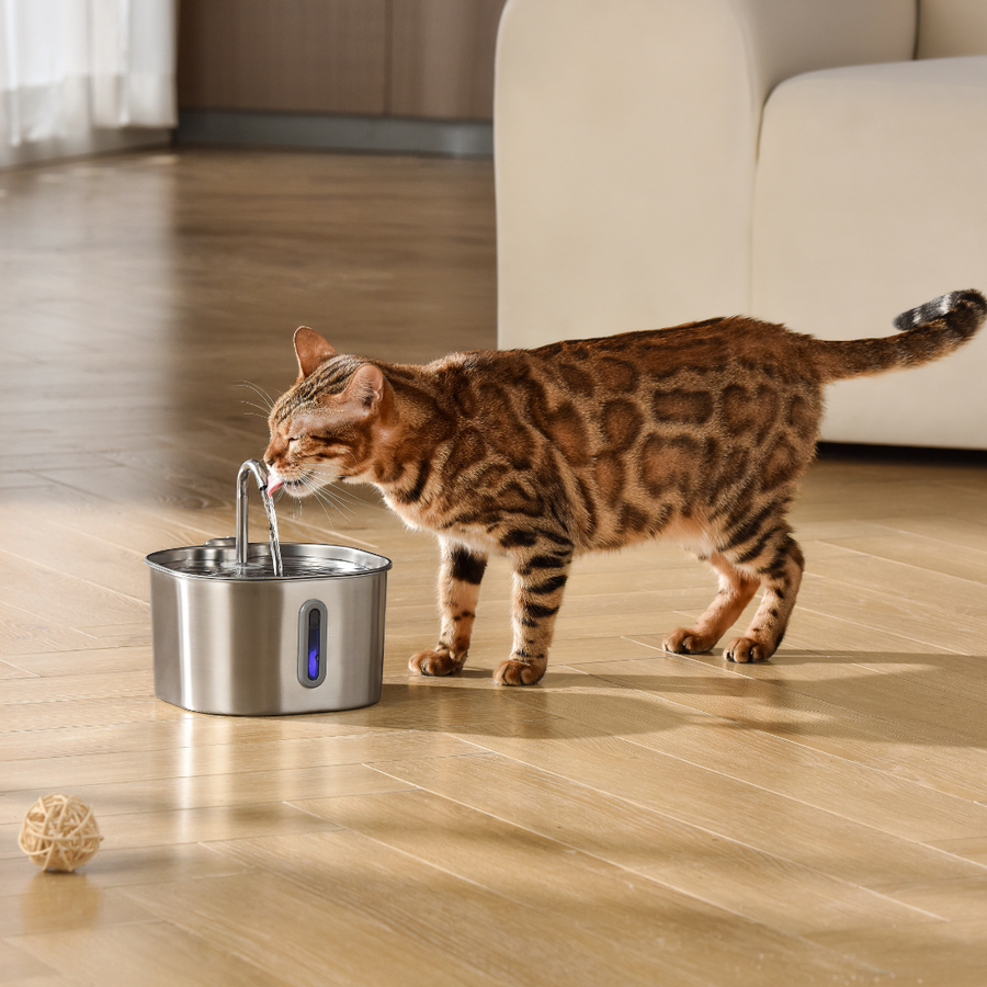 The KittySpout™ - 2.2L Fountain