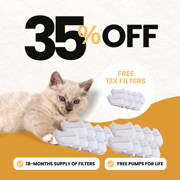 24x Filter Sets + 12x FREE - Wireless Filters