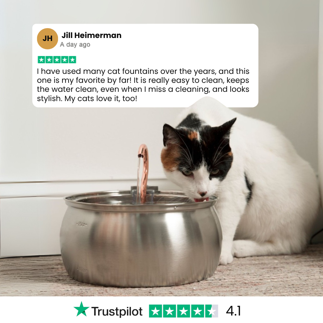 The KittySpout™ - Health & Happiness Cat Kit