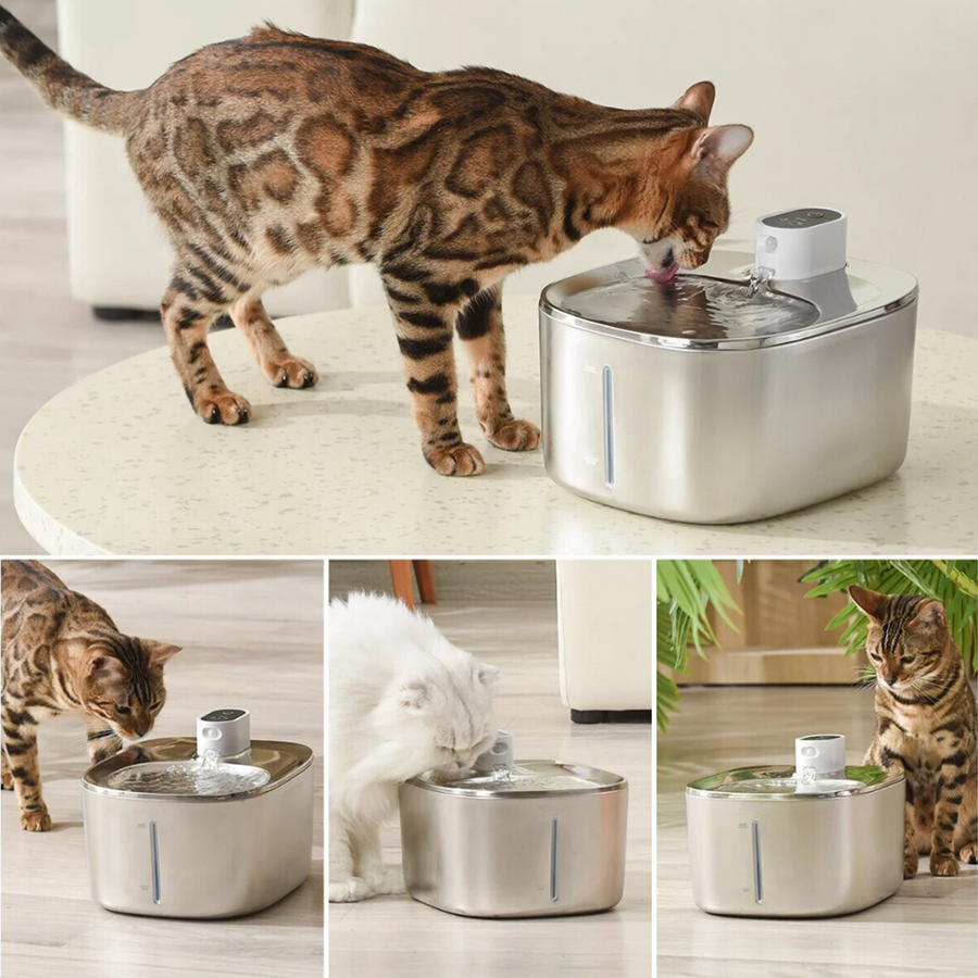 Wireless KittySpout Replacement Filters
